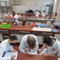 Stem_Biotechnologische STEM-wetenschappen_Ph