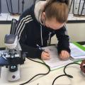 Stem_Biotechnologische STEM-wetenschappen_biologie